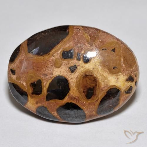 17.02ct 天然 彩色 碧玉, 椭圆形, 不透明