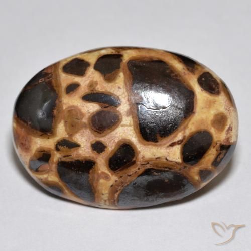 17.21ct 天然 彩色 碧玉, 椭圆形, 不透明