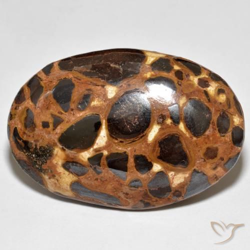 24.47ct 天然 彩色 碧玉, 椭圆形, 不透明
