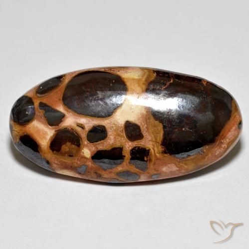 19.60ct 天然 彩色 碧玉, 椭圆形, 不透明