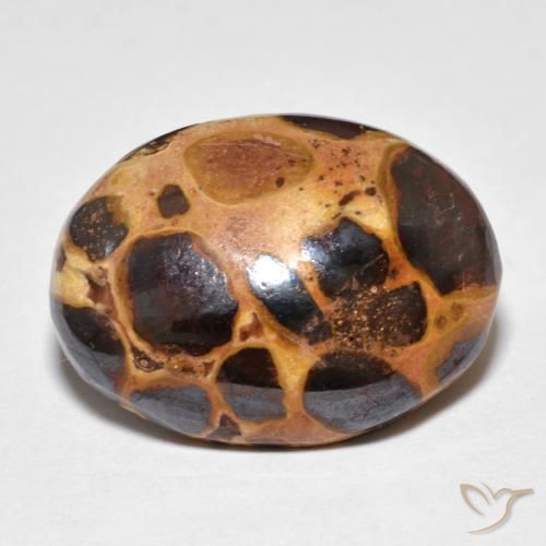 14.82ct 天然 彩色 碧玉, 椭圆形, 不透明