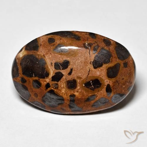 21.84ct 天然 彩色 碧玉, 椭圆形, 不透明