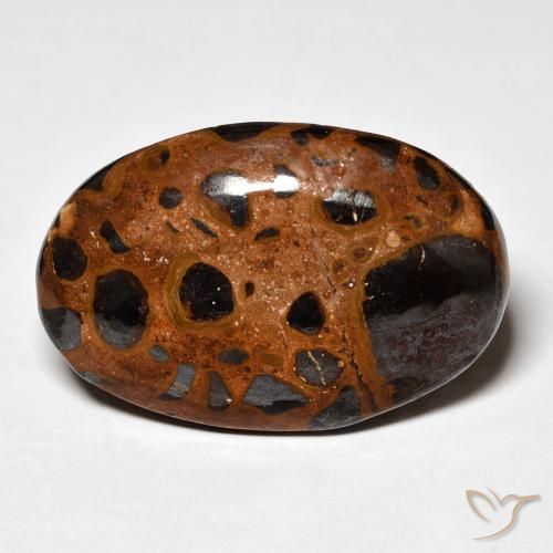 21.98ct 天然 彩色 碧玉, 椭圆形, 不透明