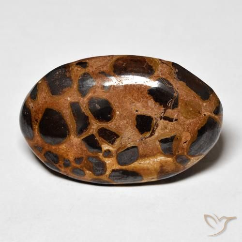 20.50ct 天然 彩色 碧玉, 椭圆形, 不透明