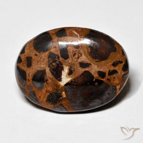 19.16ct 天然 彩色 碧玉, 椭圆形, 不透明