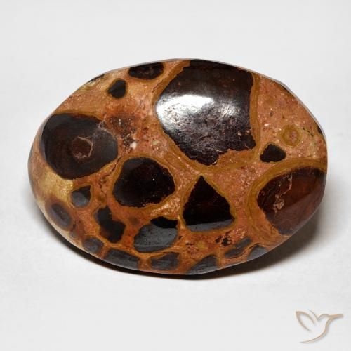 17.45ct 天然 彩色 碧玉, 椭圆形, 不透明
