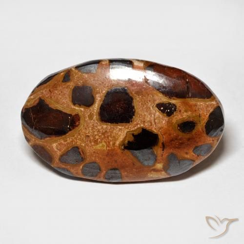 15.06ct 天然 彩色 碧玉, 椭圆形, 不透明