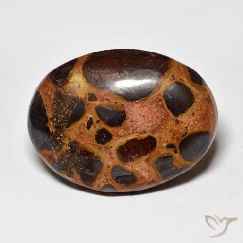 14.26ct 天然 彩色 碧玉, 椭圆形, 不透明