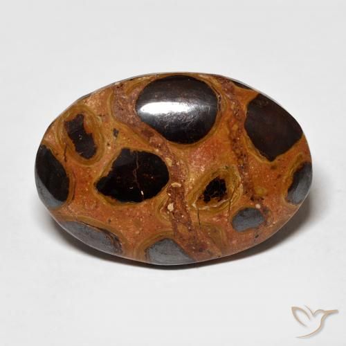 16.68ct 天然 彩色 碧玉, 椭圆形, 不透明