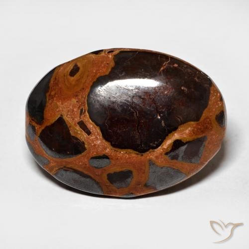 13.64ct 天然 彩色 碧玉, 椭圆形, 不透明