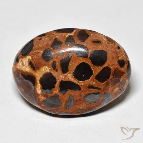 25.43ct 天然 彩色 碧玉, 椭圆形, 不透明