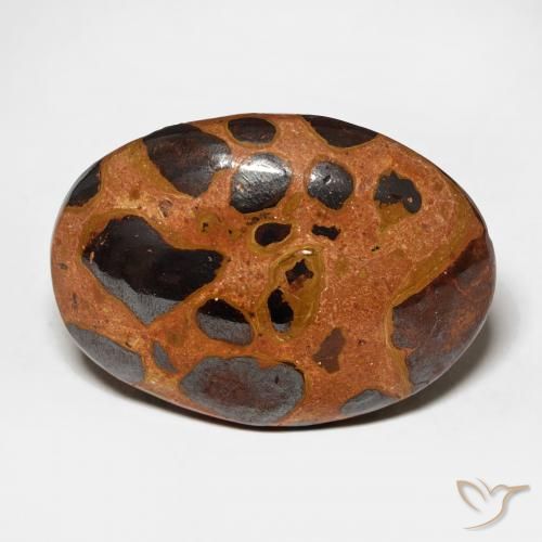 17.08ct 天然 彩色 碧玉, 椭圆形, 不透明
