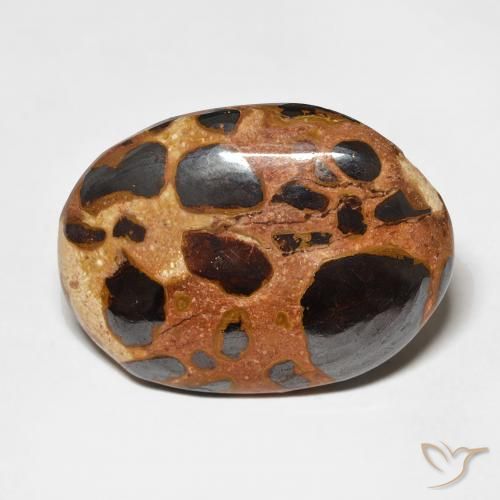 15.22ct 天然 彩色 碧玉, 椭圆形, 不透明
