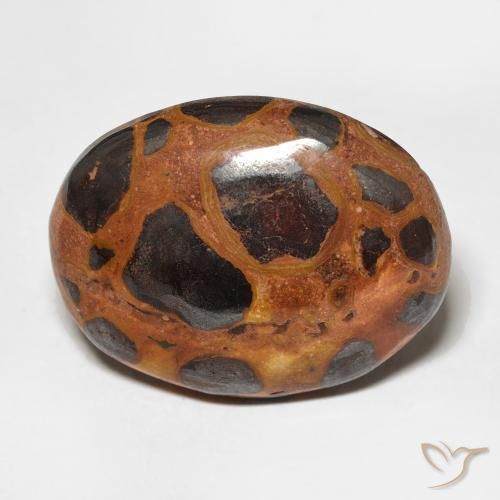 17.65ct 天然 彩色 碧玉, 椭圆形, 不透明