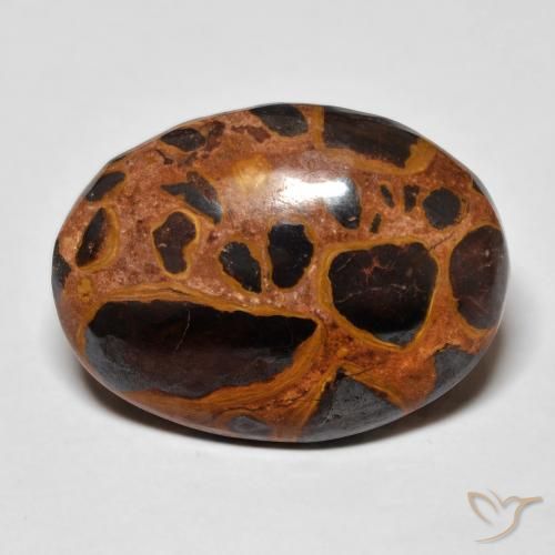 17.26ct 天然 彩色 碧玉, 椭圆形, 不透明