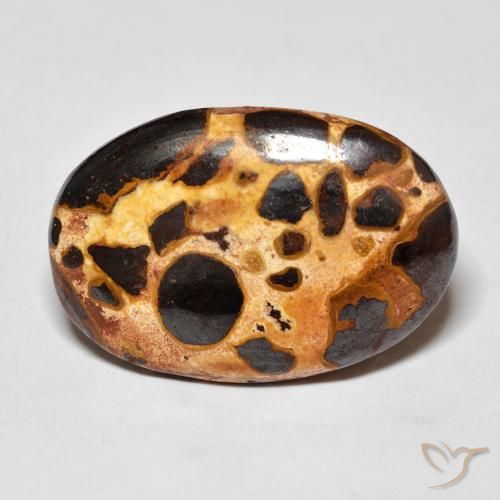 16.03ct 天然 彩色 碧玉, 椭圆形, 不透明