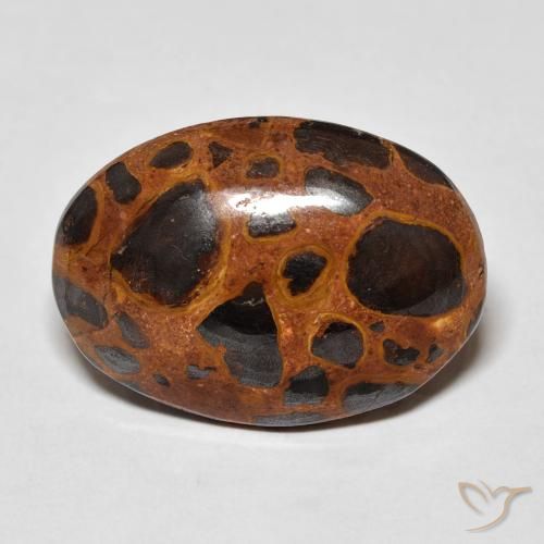 13.01ct 天然 彩色 碧玉, 椭圆形, 不透明