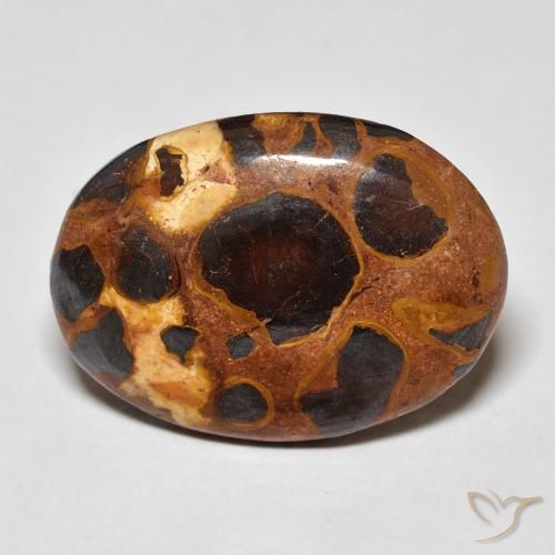 14.20ct 天然 彩色 碧玉, 椭圆形, 不透明