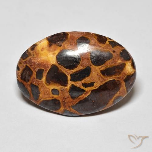 13.57ct 天然 彩色 碧玉, 椭圆形, 不透明