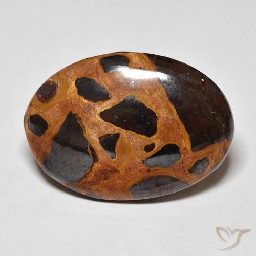 18.67ct 天然 彩色 碧玉, 椭圆形, 不透明