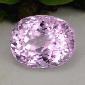 5.49克拉天然粉色紫锂辉石，椭圆形切割，11.1×8.8毫米，VS-SI