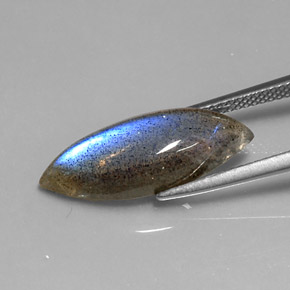 7.01克拉天然拉长石，榄尖形，半透明