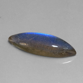 7.58克拉天然多色拉长石，马眼形，24.3×7.1毫米，半透明