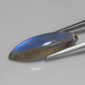 7.58克拉天然多色拉长石，马眼形，24.3×7.1毫米，半透明