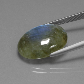 15.85克拉天然拉长石，椭圆形切割，半透明