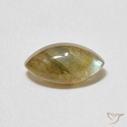 1.45ct 天然 彩色 拉长石, 榄尖形, 半透明