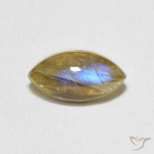 1.44ct 天然 彩色 拉长石, 榄尖形, 半透明