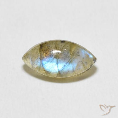 1.59ct 天然 彩色 拉长石, 榄尖形, 半透明