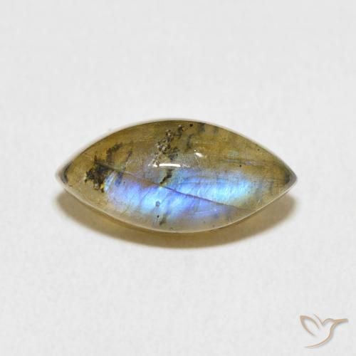 3.64ct 天然 彩色 拉长石, 榄尖形, 半透明