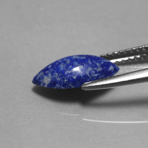 1.60克拉天然青金石，马眼形，11.7×6.5毫米，不透明