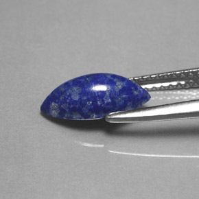 1.54克拉天然青金石，马眼形，11.1×5.6毫米，不透明