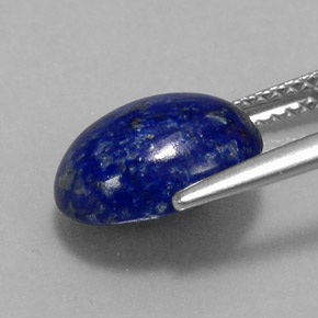4.23克拉天然青金石，椭圆形切割，11.2×9毫米，不透明