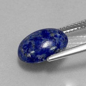 3.49克拉天然青金石，椭圆形切割，11.2×9毫米，不透明