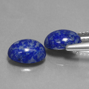 天然青金石，椭圆形切割，8.1×6.1毫米，不透明
