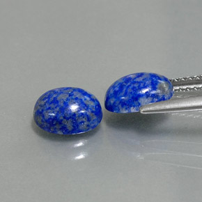 天然青金石，椭圆形切割，7.9×6.3毫米，不透明