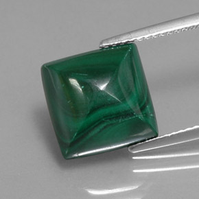 10.03克拉天然绿色孔雀石，方形，11.3×11.1毫米，不透明