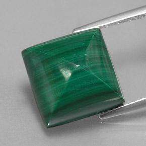 15.78克拉天然绿色孔雀石，方形，12.2×12.1毫米，不透明