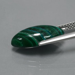 5.63克拉天然绿色孔雀石，马眼形，15.5×7.8毫米，不透明