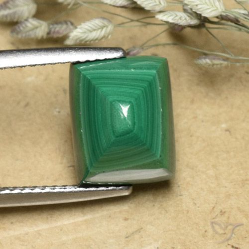 8.18ct 天然 暖绿 孔雀石, 狭长方形, 不透明
