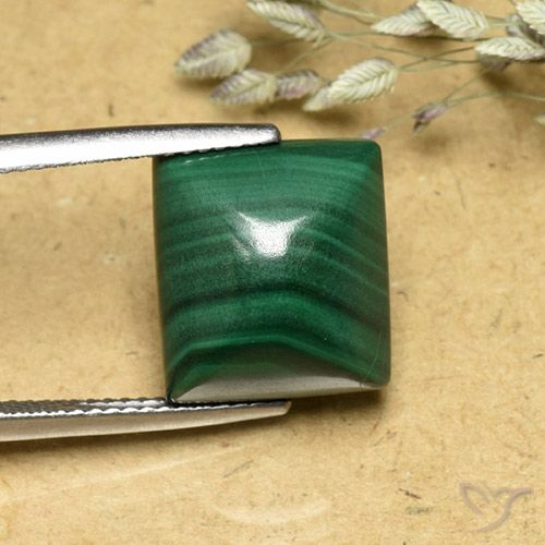 13.91ct 天然 中绿色 孔雀石, 狭长方形, 不透明