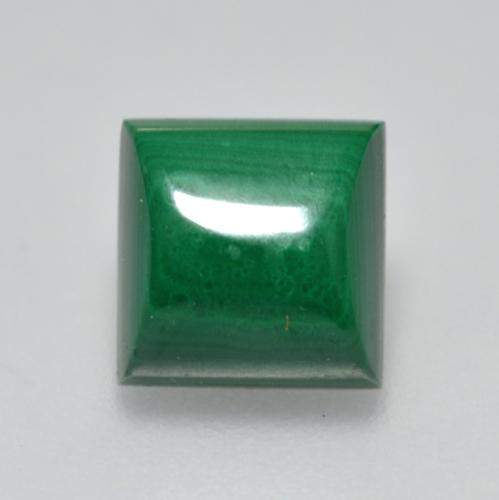 2.51克拉天然绿色孔雀石，方形，7×7毫米，不透明