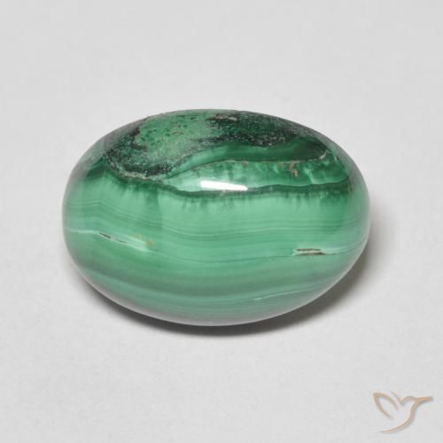 7.31ct 天然 中绿色 孔雀石, 椭圆形, 不透明