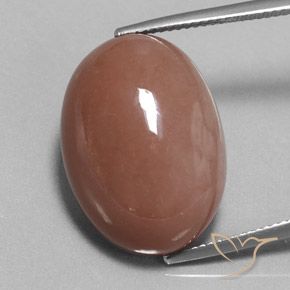 25.17ct 天然 暖棕 月长石, 椭圆形, 不透明