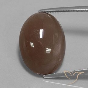 20.61ct 天然 中褐色 月长石, 椭圆形, 不透明
