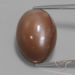 31.30ct 天然 暖棕 月长石, 椭圆形, 不透明