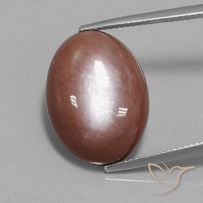 18.74ct 天然 肉桂棕 月长石, 椭圆形, 不透明